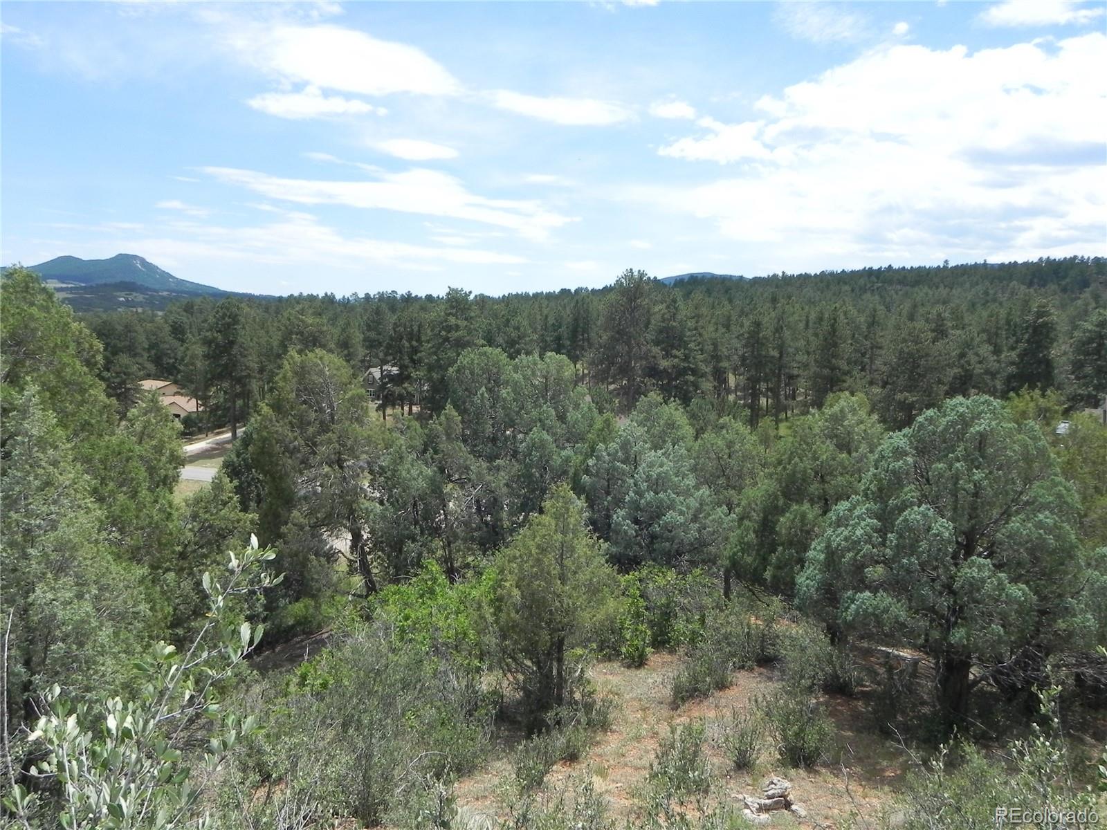 7749 Inca Road Larkspur CO 80118