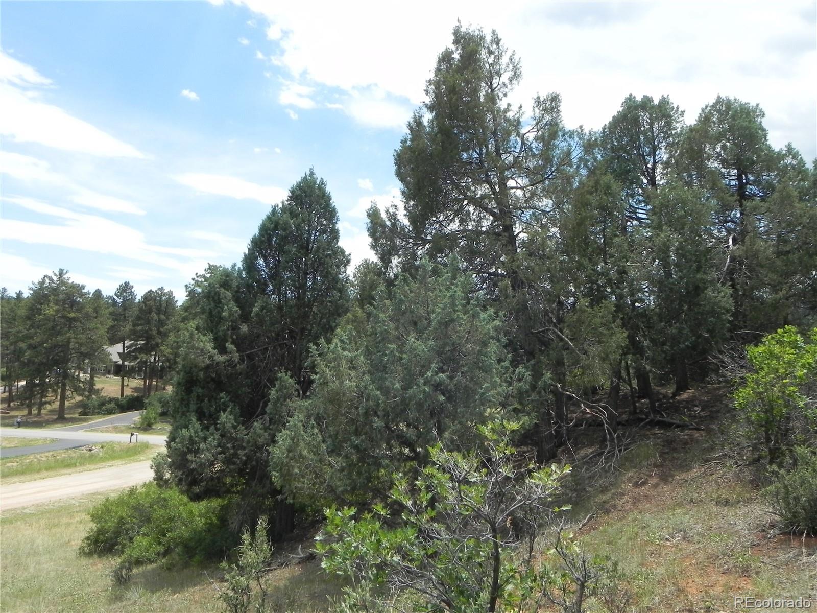 7749 Inca Road Larkspur CO 80118