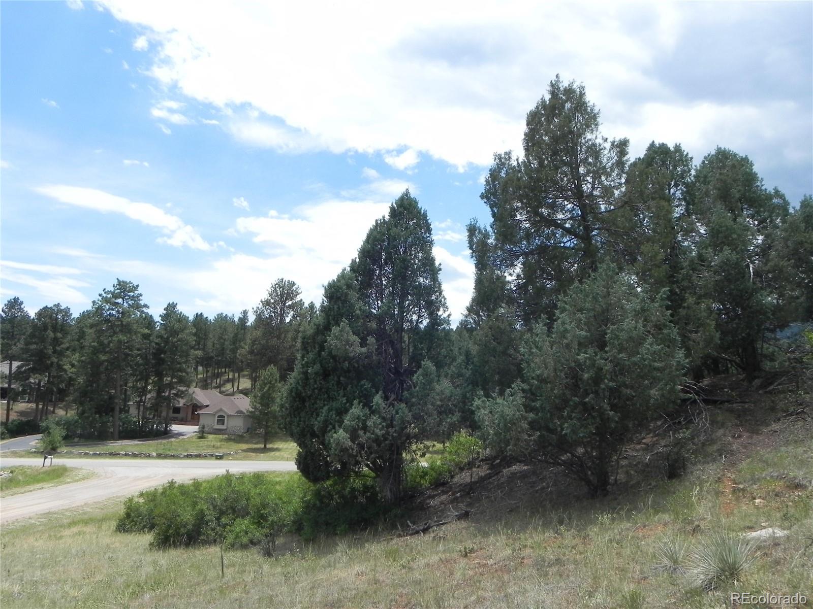 7749 Inca Road Larkspur CO 80118