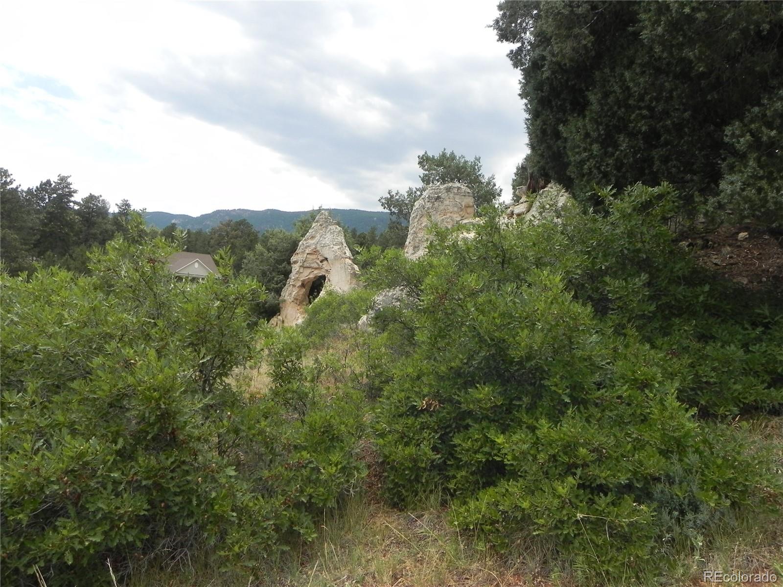 7749 Inca Road Larkspur CO 80118