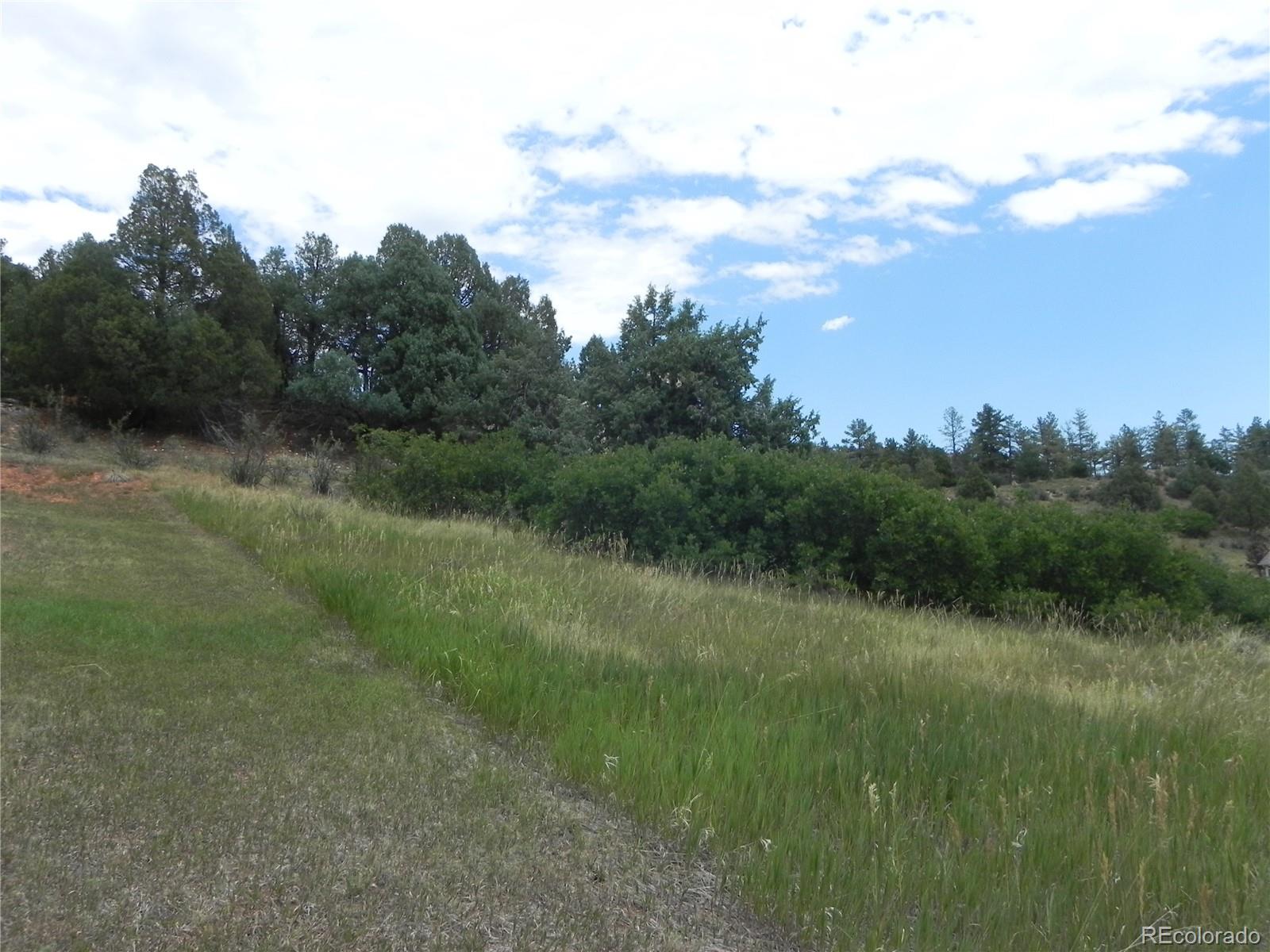 7749 Inca Road Larkspur CO 80118