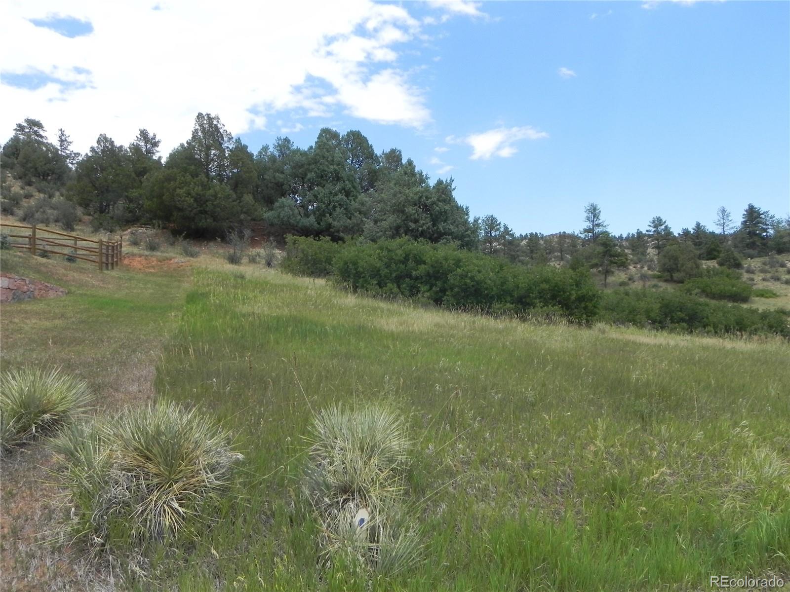 7749 Inca Road Larkspur CO 80118