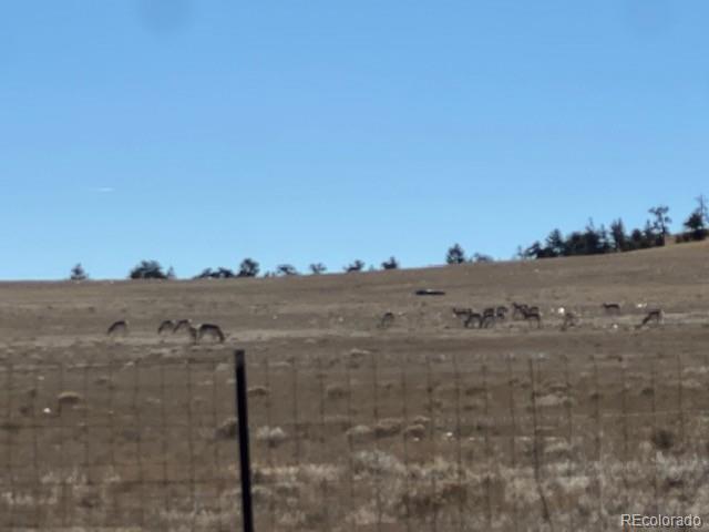 Tbd Highway 24 Hartsel CO 80449