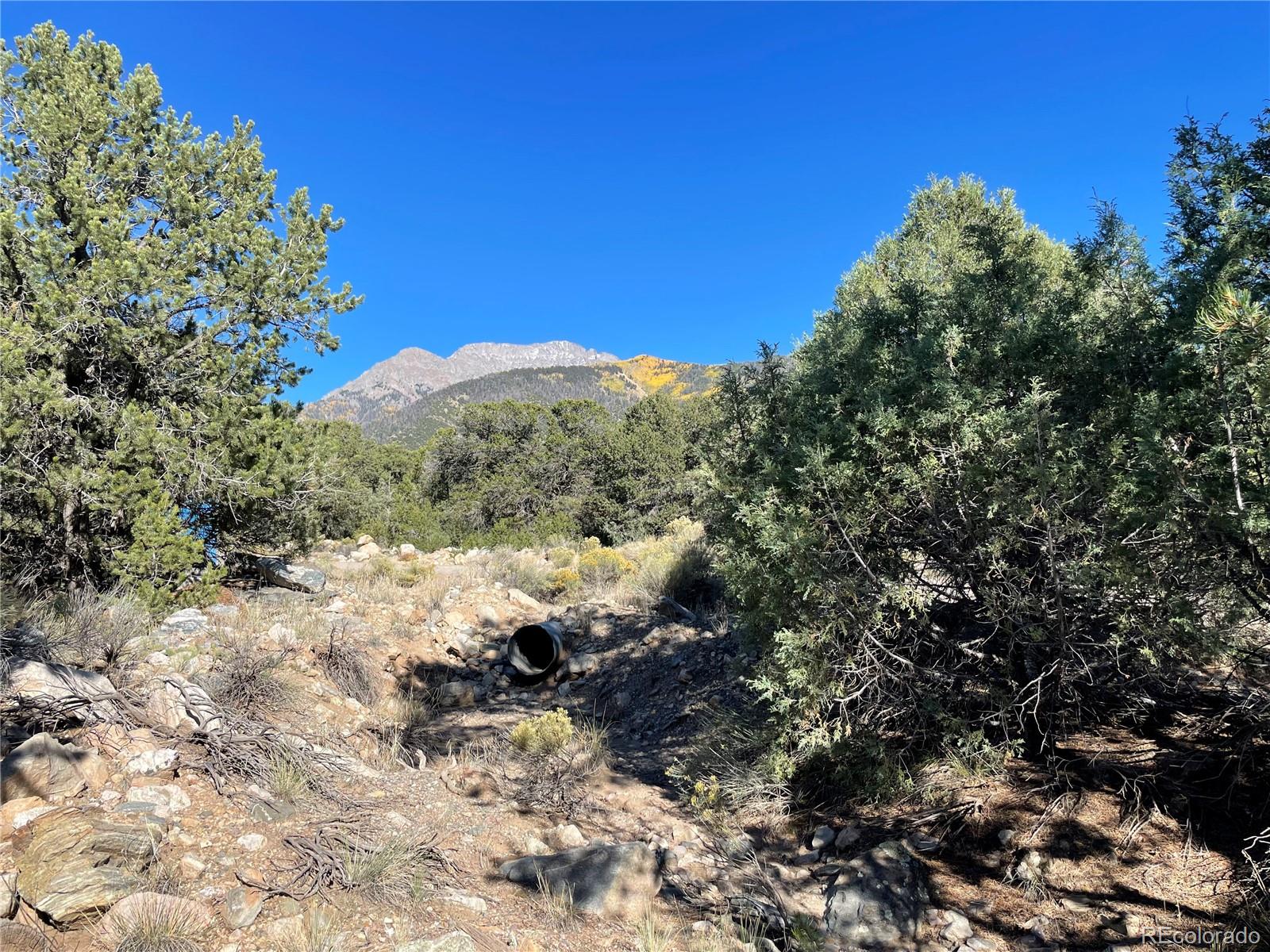 1919 Lone Pine Way Crestone CO 81131