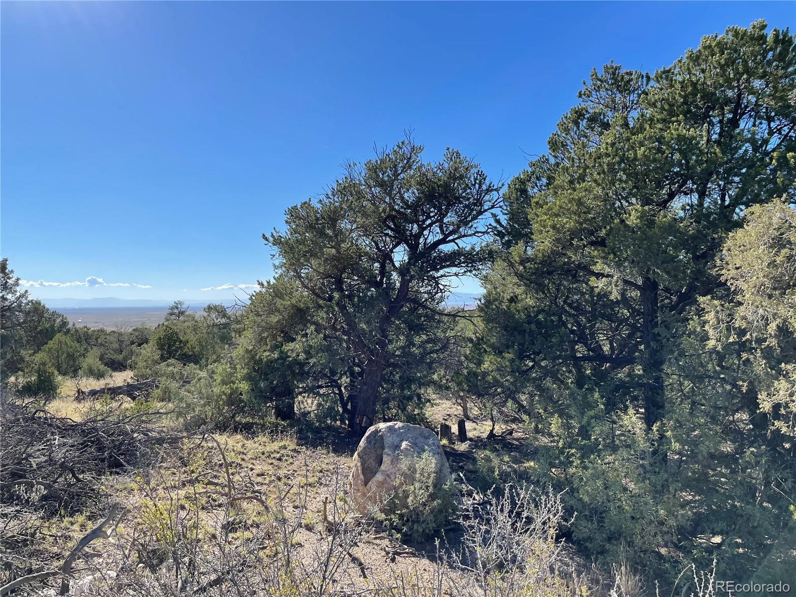 1919 Lone Pine Way Crestone CO 81131