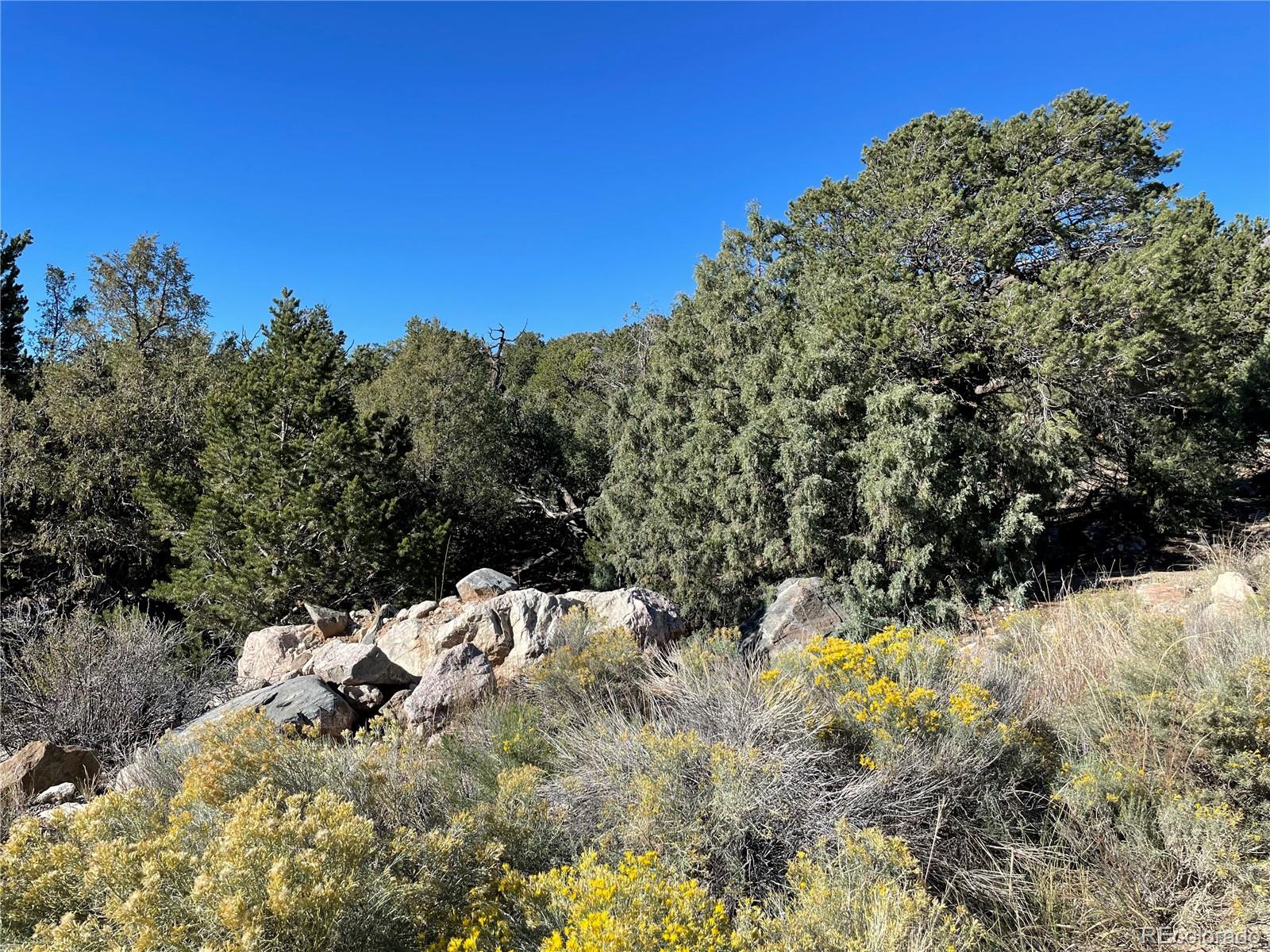 1919 Lone Pine Way Crestone CO 81131