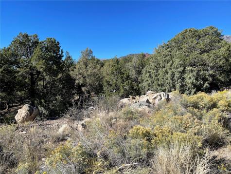 1919 Lone Pine Way Crestone CO 81131