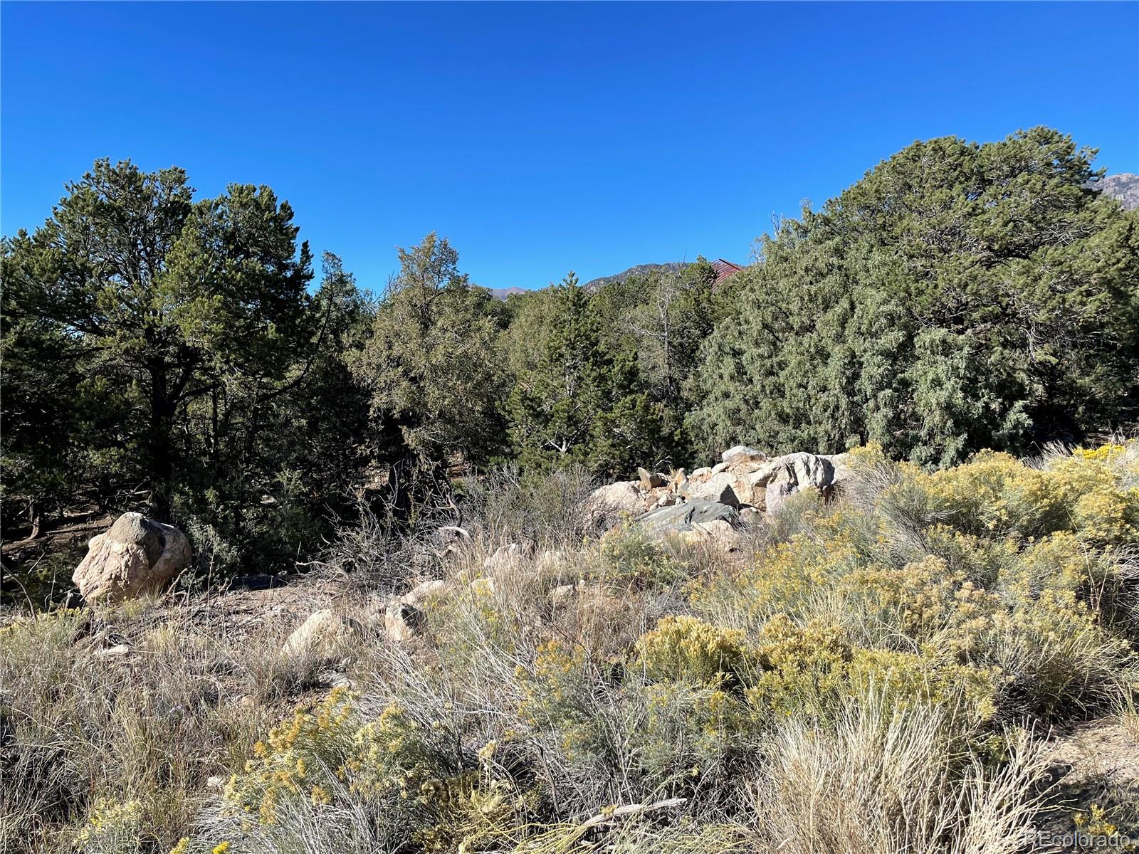 1919 Lone Pine Way Crestone CO 81131