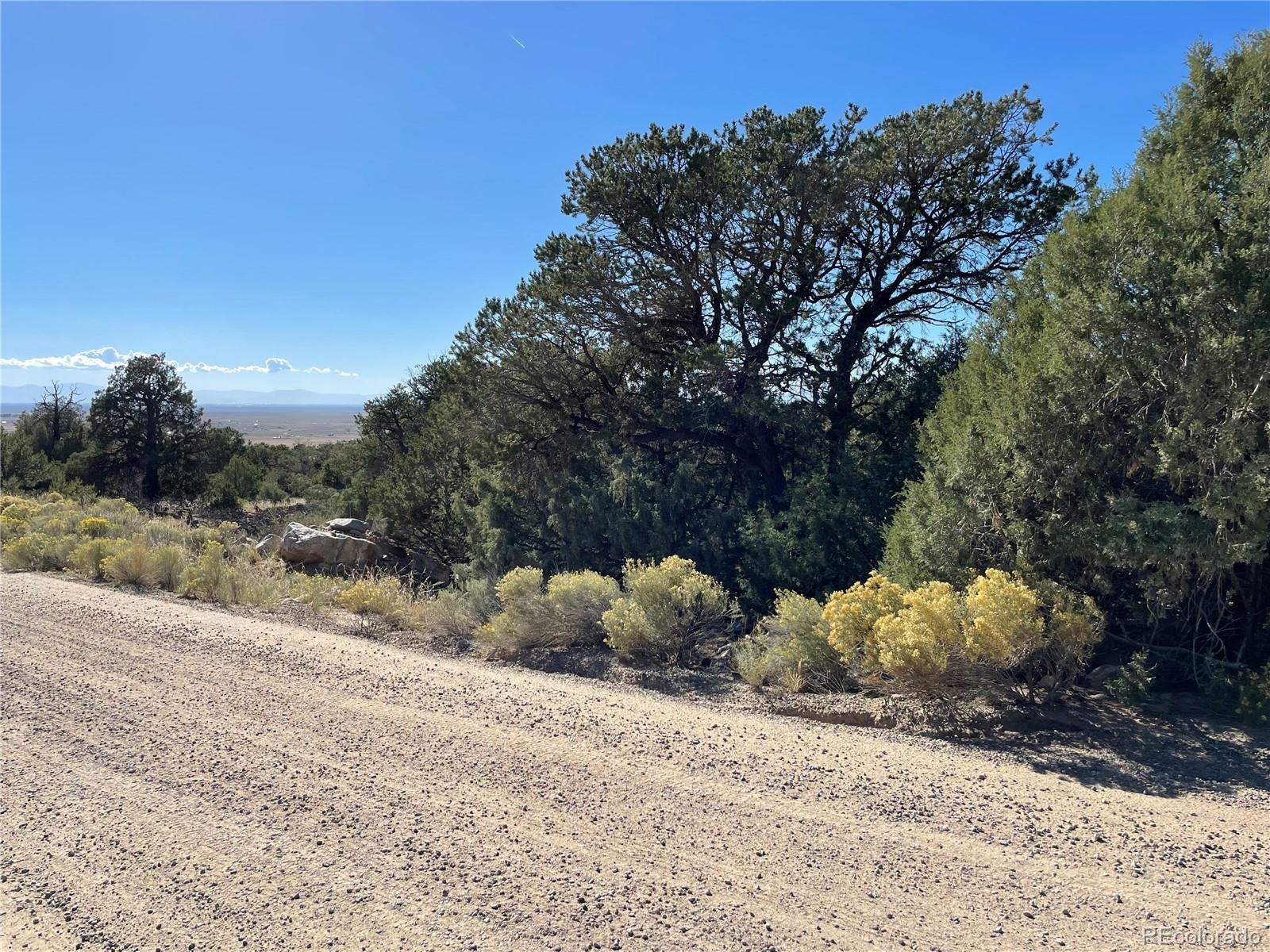 1919 Lone Pine Way Crestone CO 81131