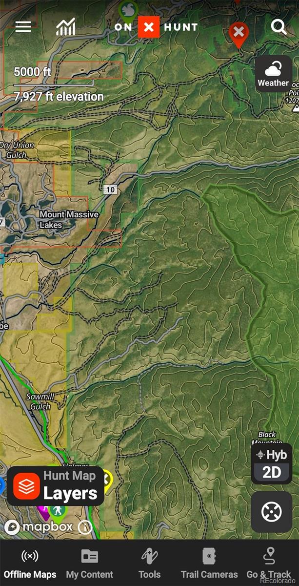 6020 Black Swan Leadville CO 80461