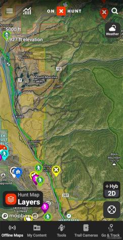 6020 Black Swan Leadville CO 80461