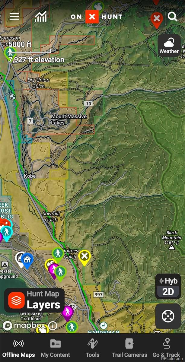 6020 Black Swan Leadville CO 80461