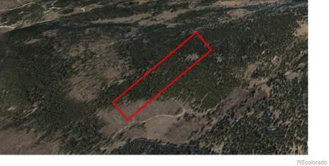 6020 Black Swan Leadville CO 80461