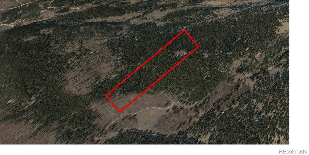 6020 Black Swan Leadville CO 80461