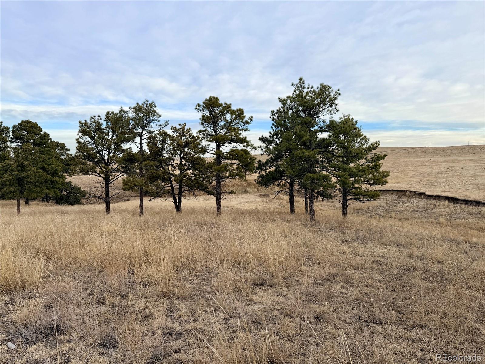 06 County Road 122 Ramah CO 80832