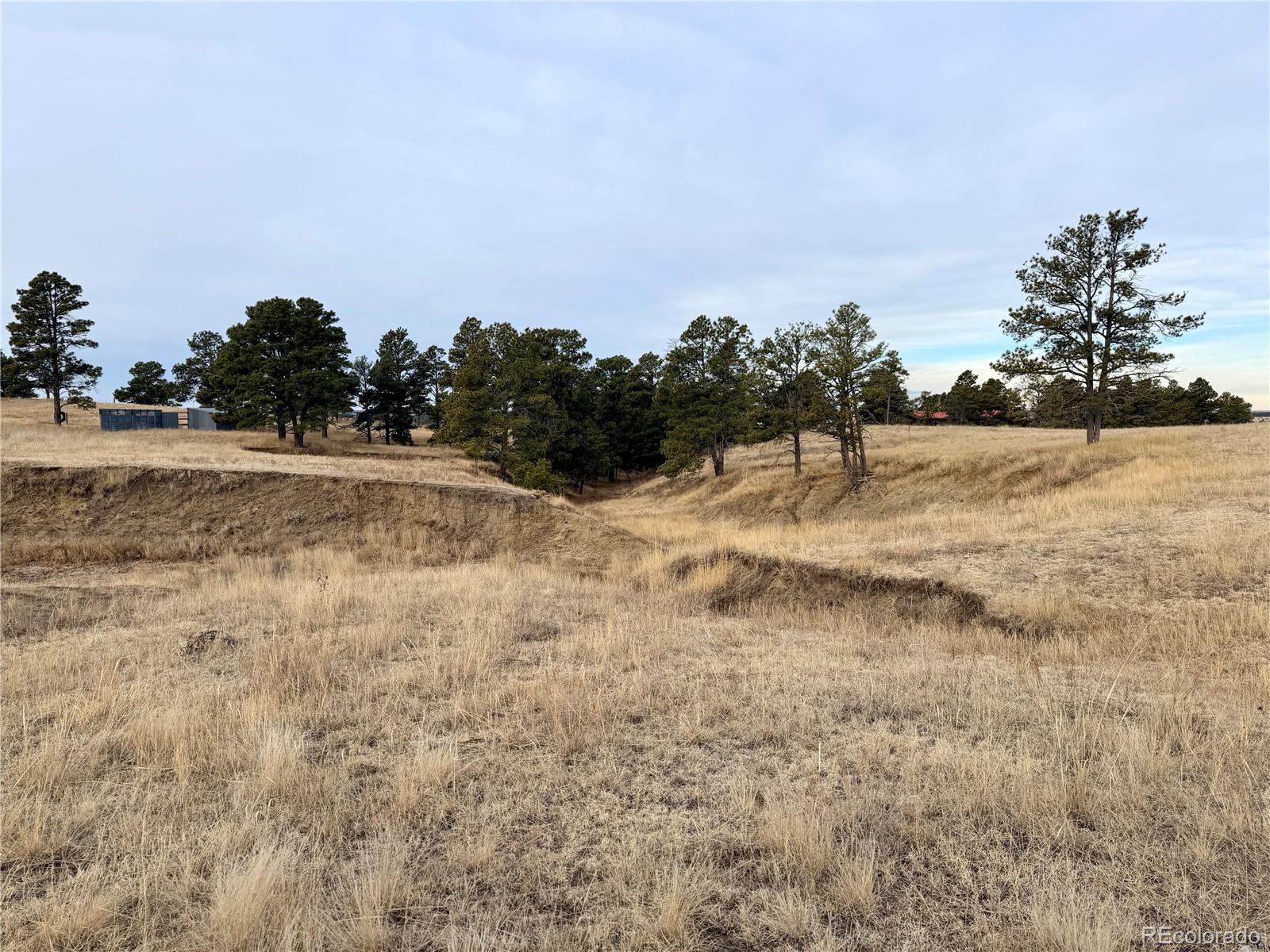 06 County Road 122 Ramah CO 80832