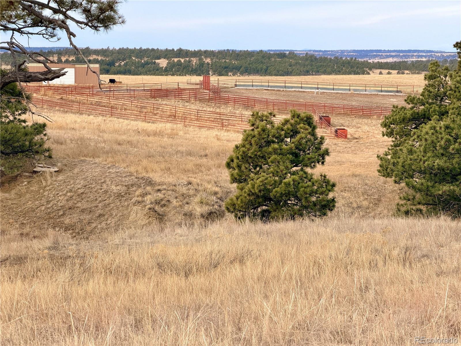 06 County Road 122 Ramah CO 80832