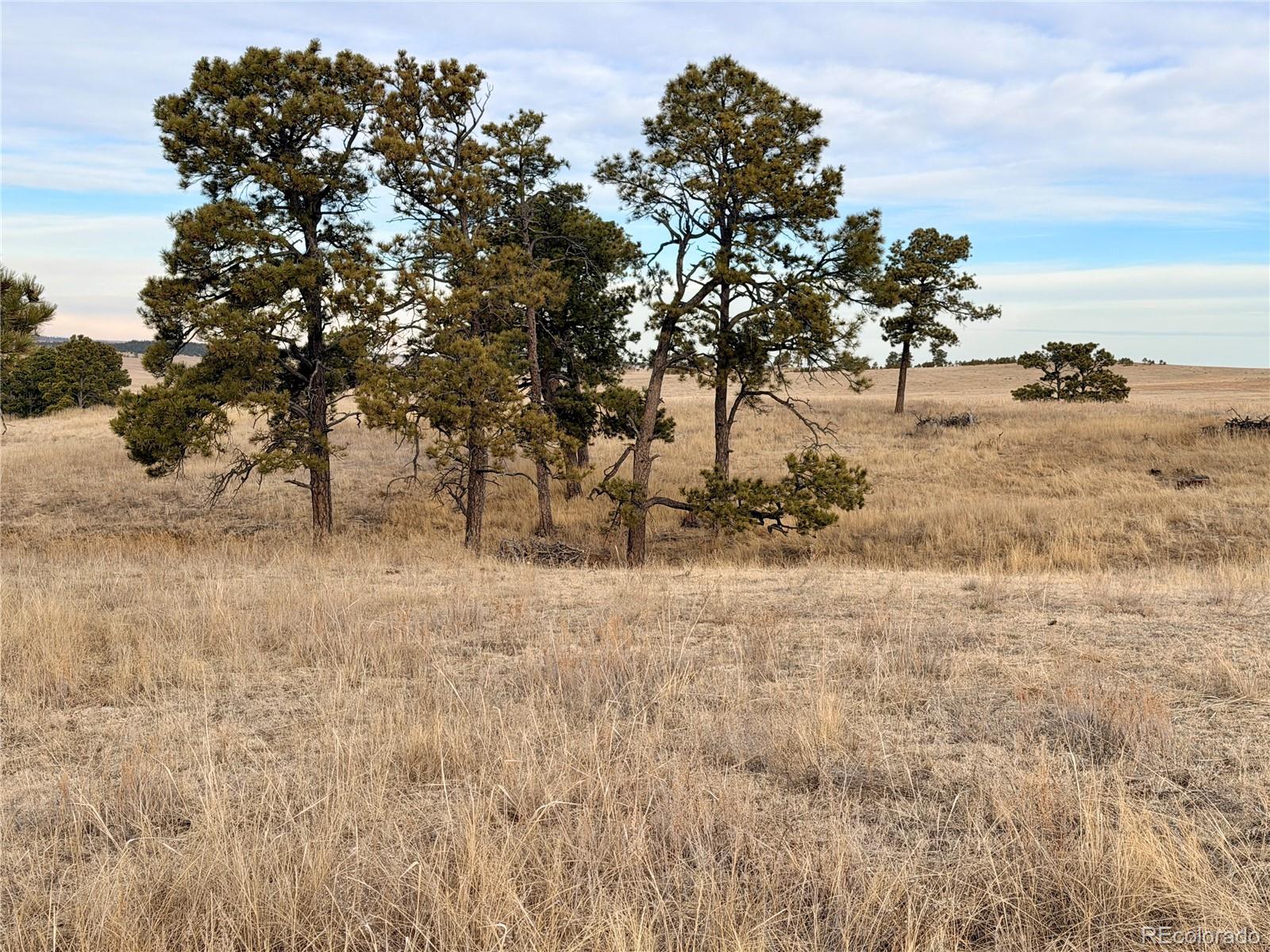 06 County Road 122 Ramah CO 80832