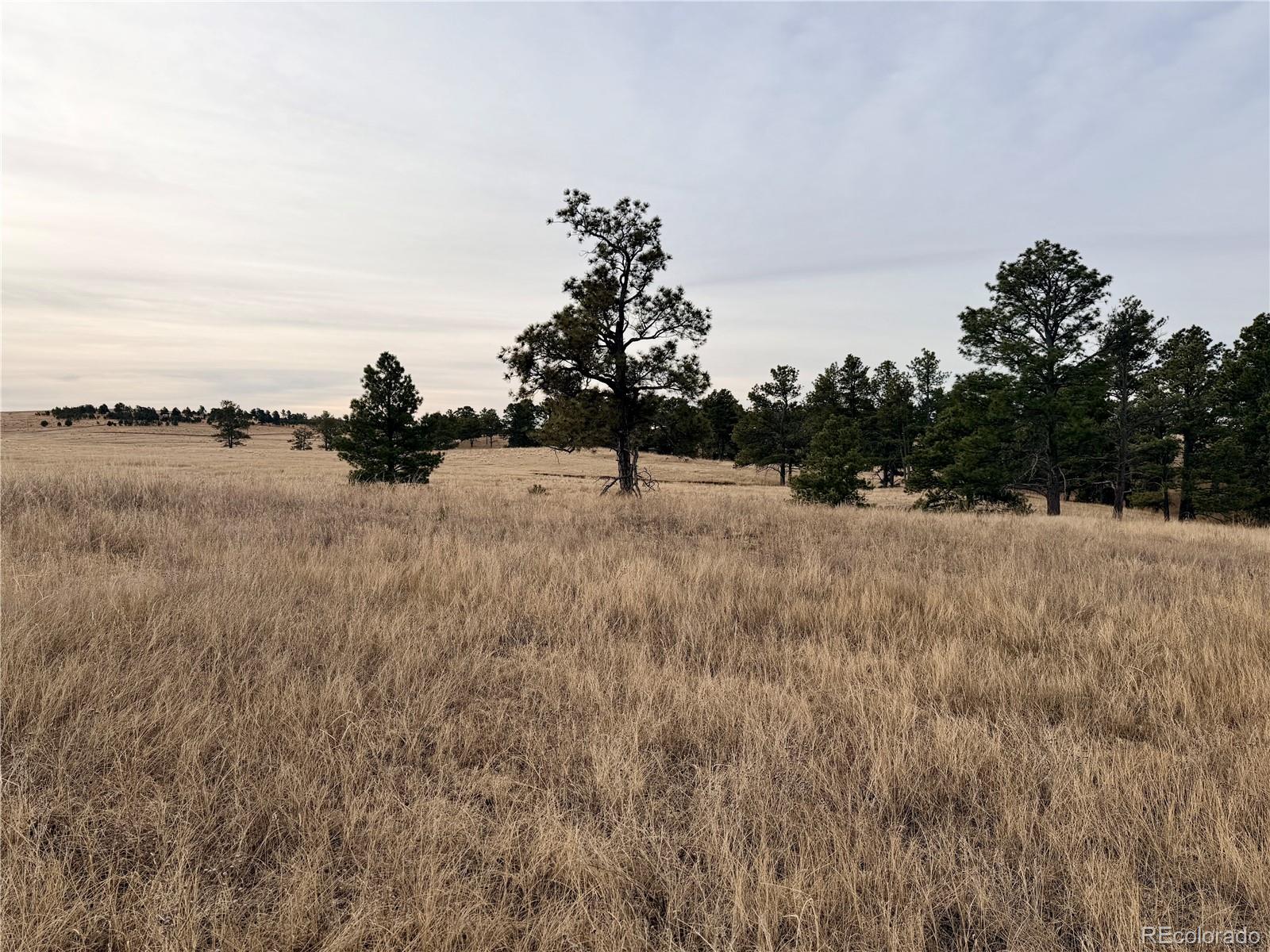 06 County Road 122 Ramah CO 80832