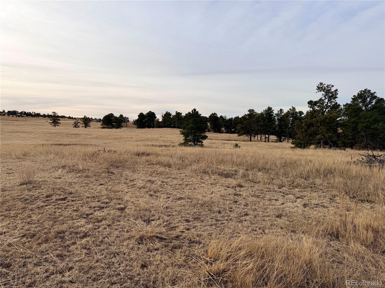 06 County Road 122 Ramah CO 80832