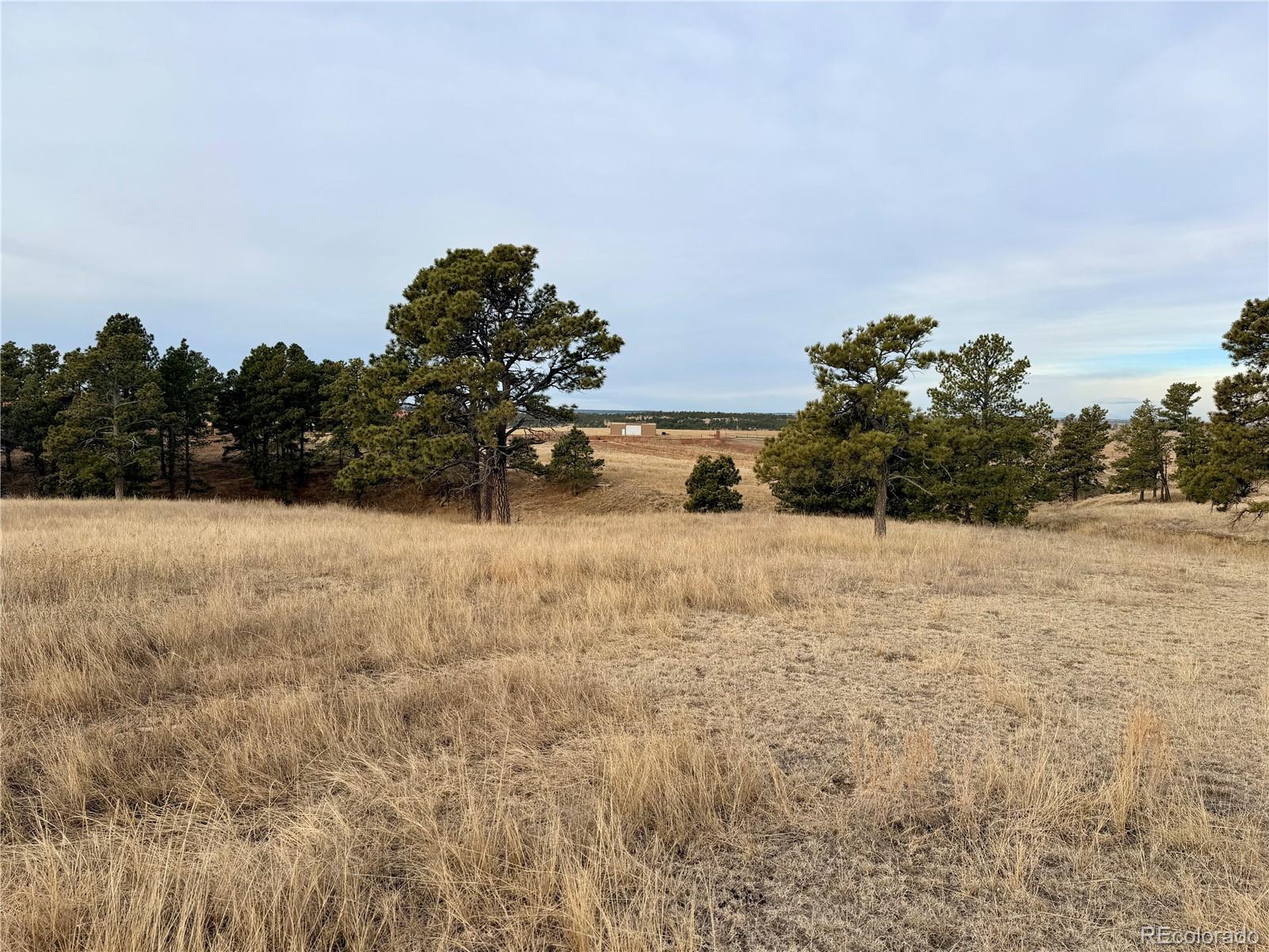 06 County Road 122 Ramah CO 80832
