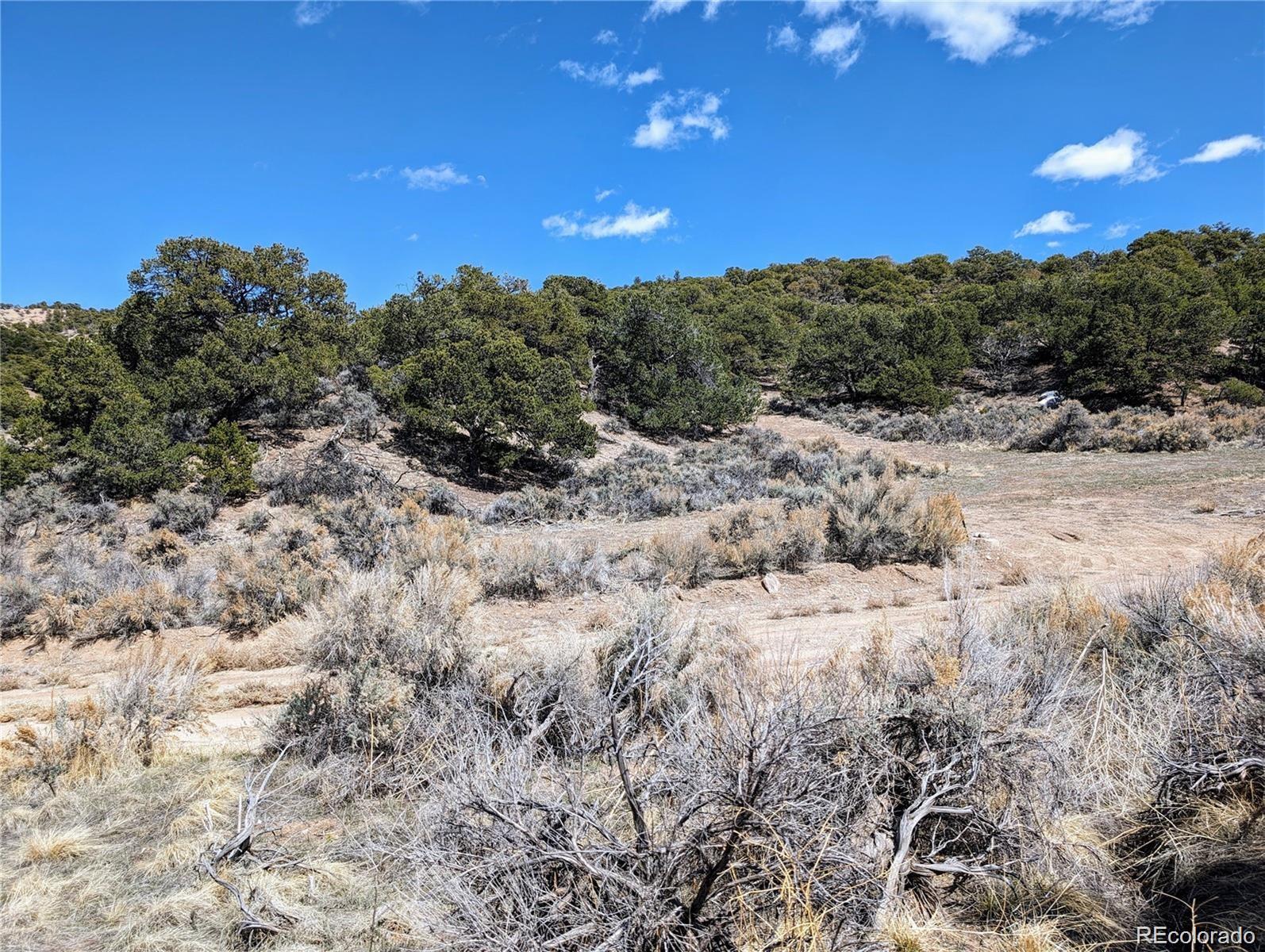 Lot 2151 Acapulco Road Fort Garland CO 81133
