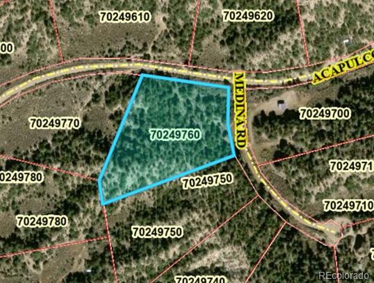 Lot 2151 Acapulco Road Fort Garland CO 81133