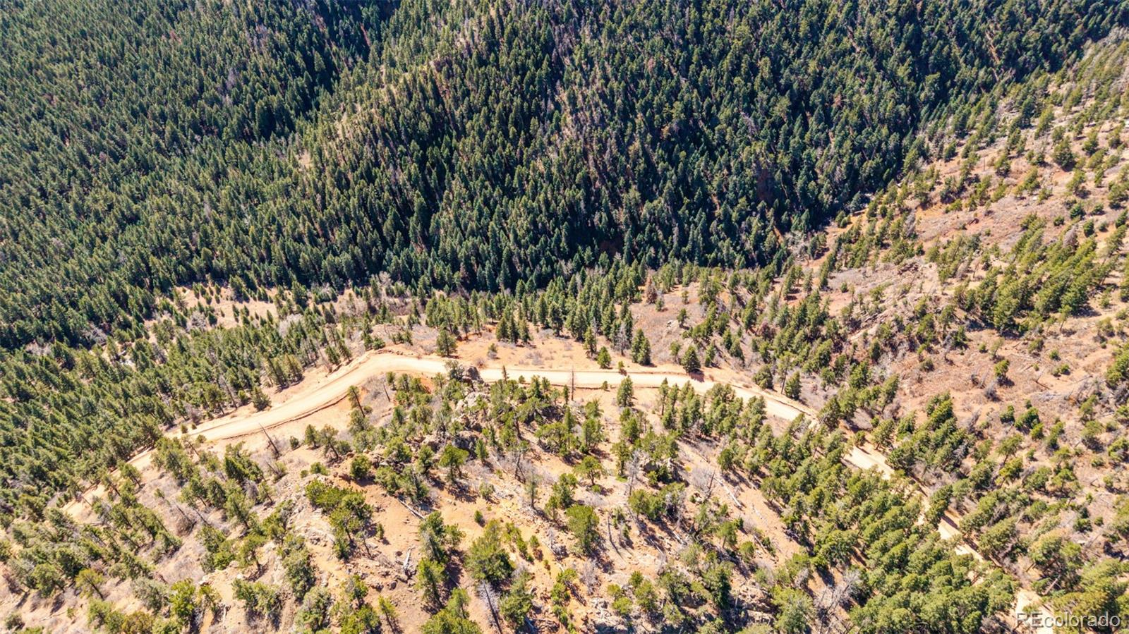 13912 Woodmoor West Drive Larkspur CO 80118