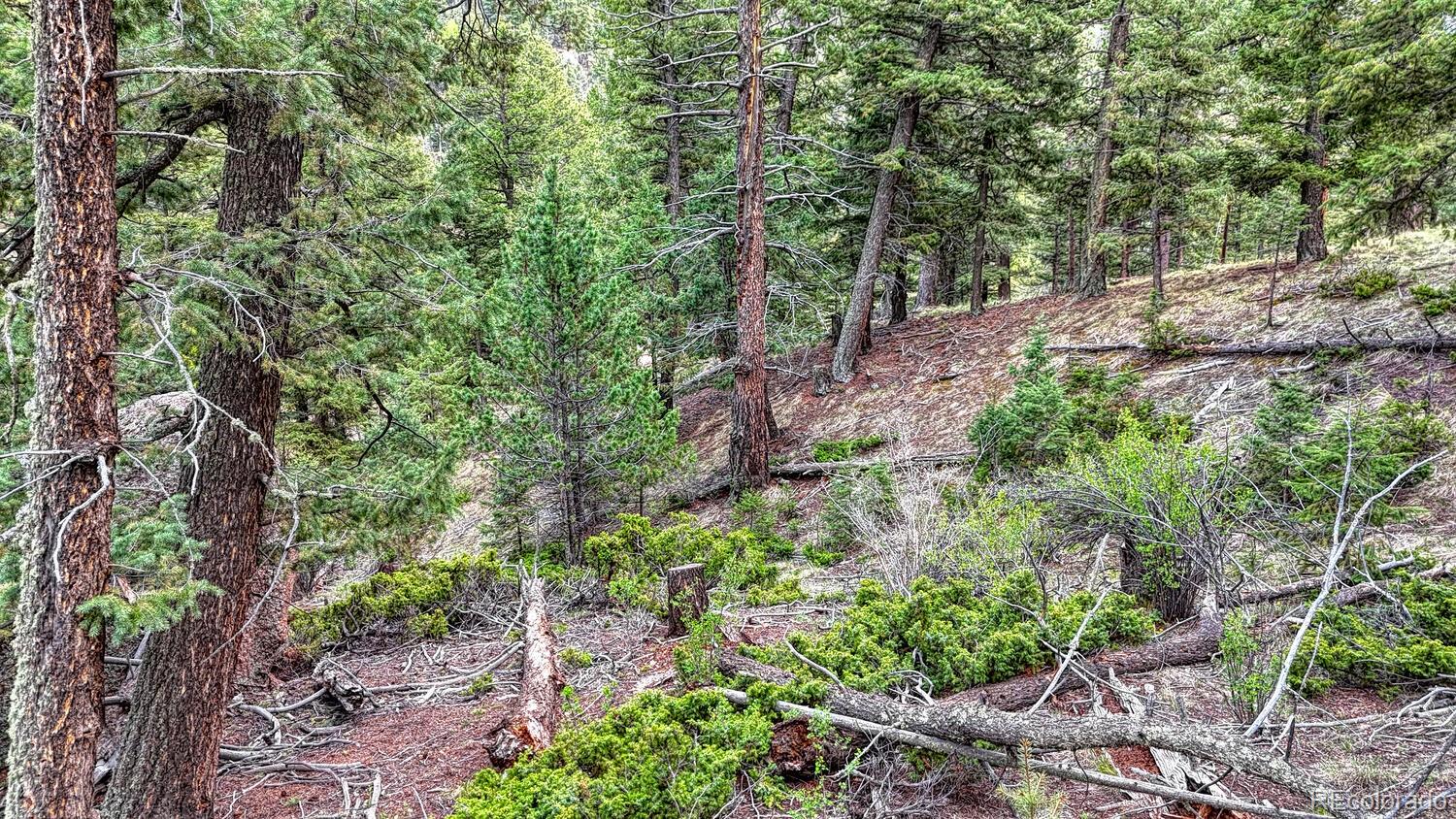 918 Pinon Lane Florissant CO 80816