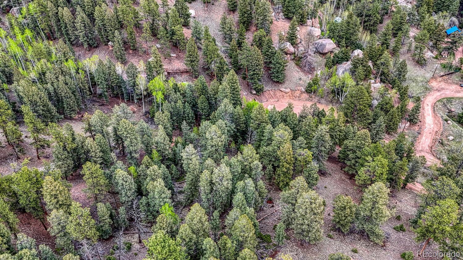 918 Pinon Lane Florissant CO 80816