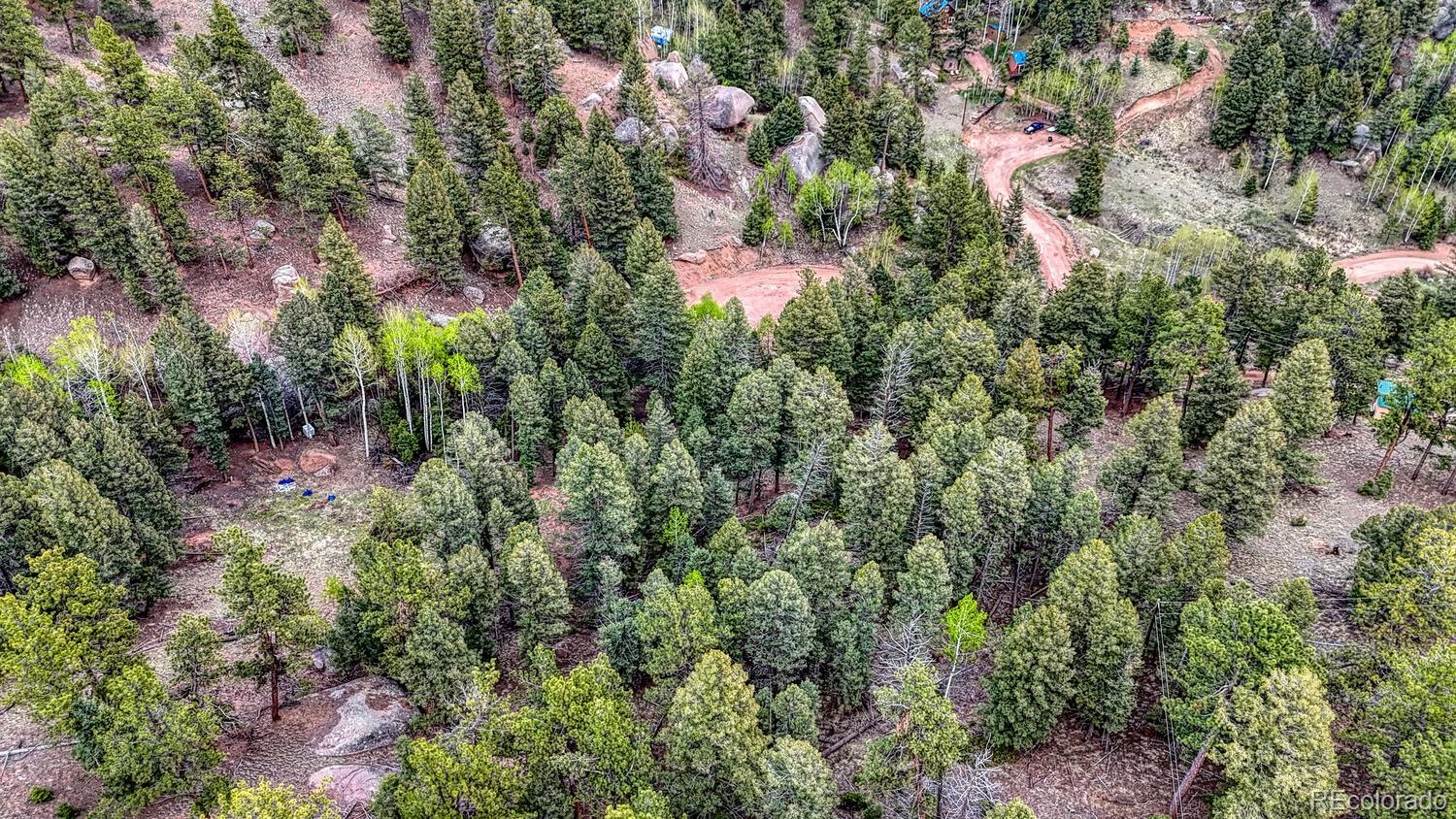 918 Pinon Lane Florissant CO 80816