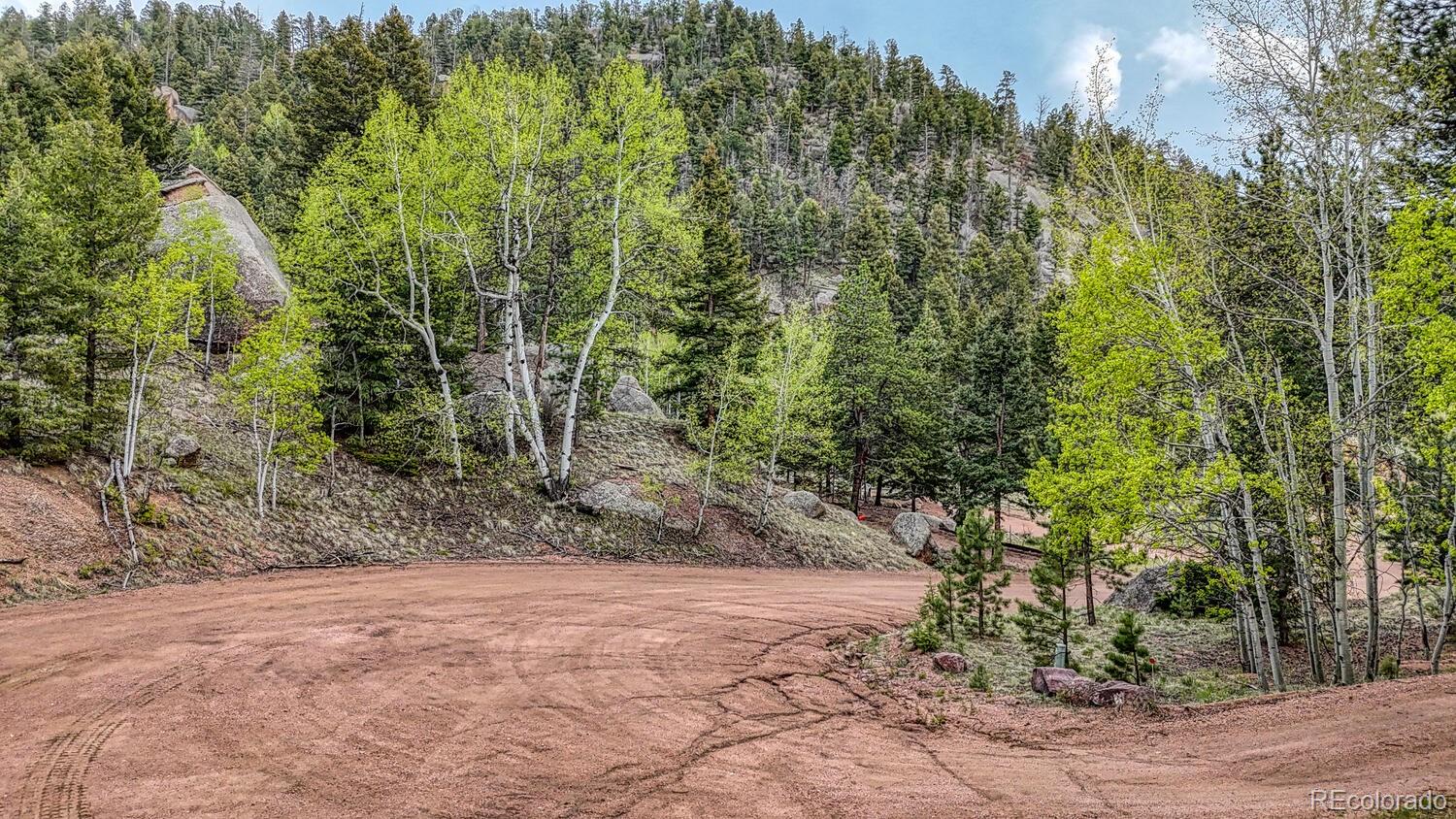 918 Pinon Lane Florissant CO 80816