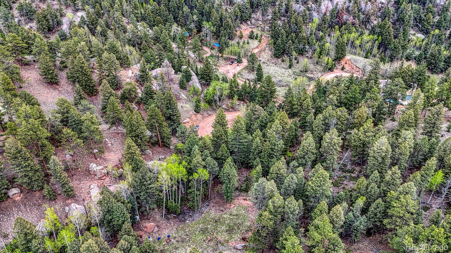 918 Pinon Lane Florissant CO 80816