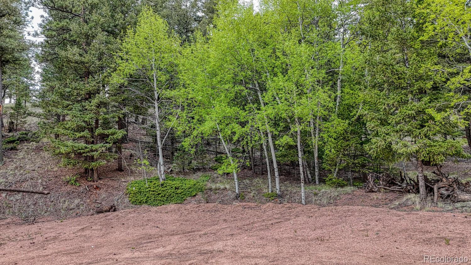 918 Pinon Lane Florissant CO 80816