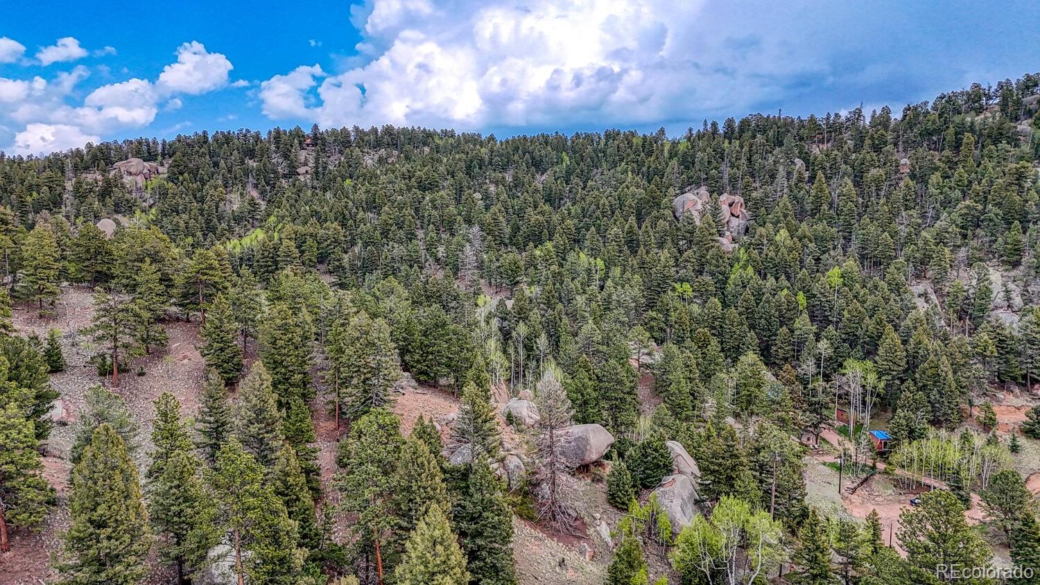 918 Pinon Lane Florissant CO 80816