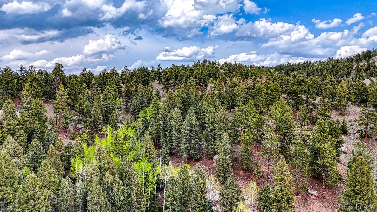 918 Pinon Lane Florissant CO 80816