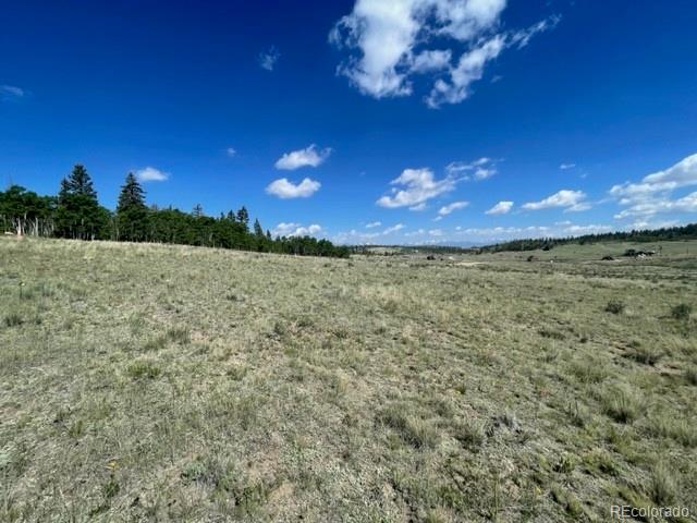 802 Arrowhead Drive Como CO 80432