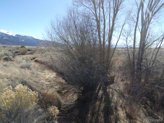 531 Hazelwood Trail Crestone CO 81131