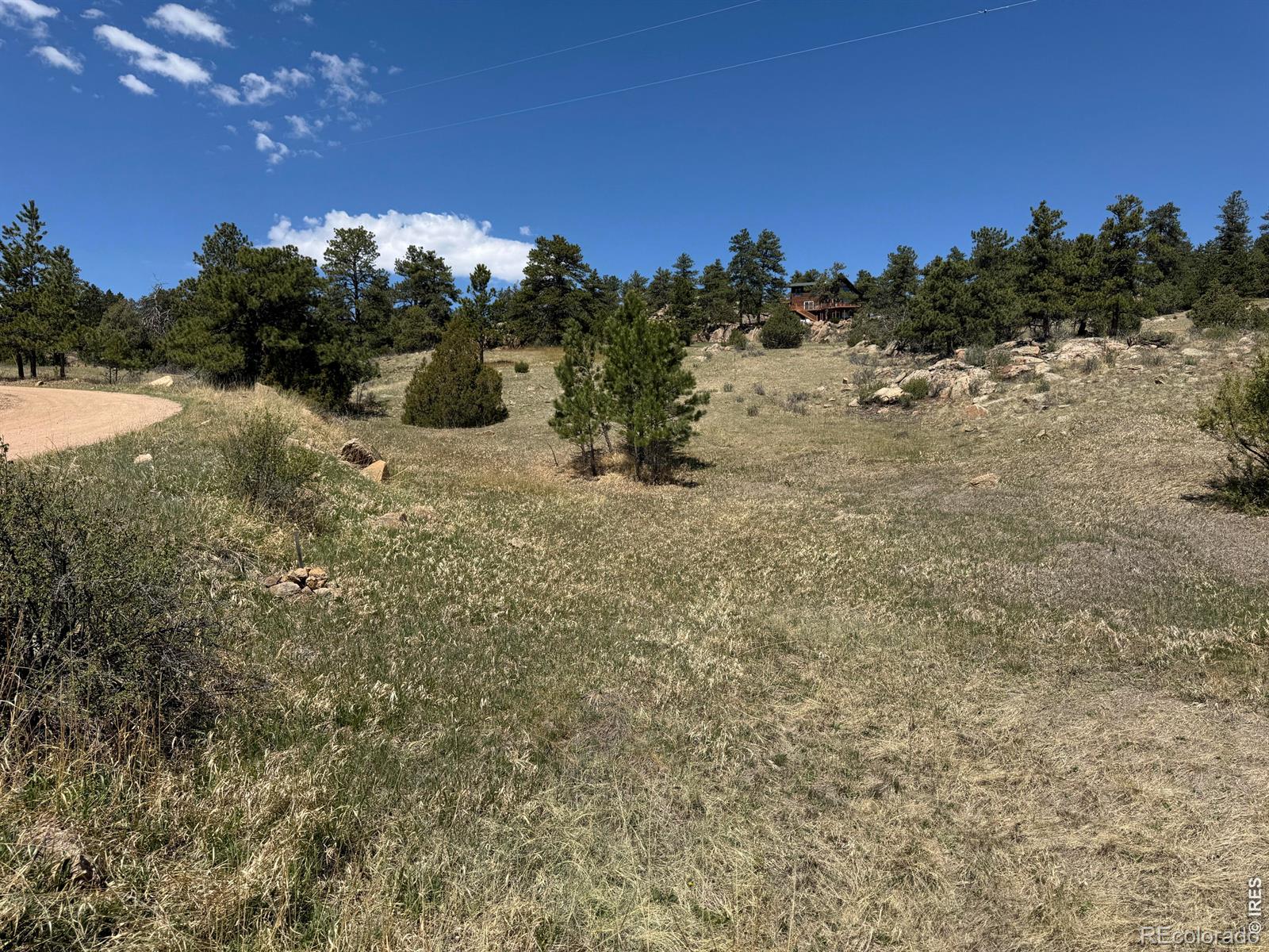 565 Le Conte Drive Livermore CO 80536