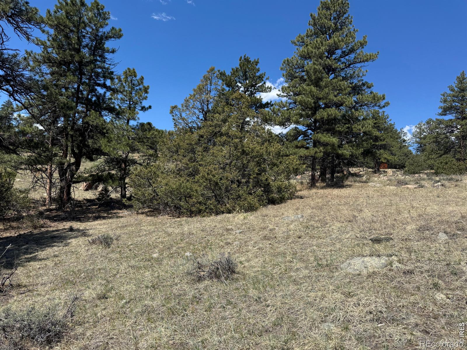 565 Le Conte Drive Livermore CO 80536