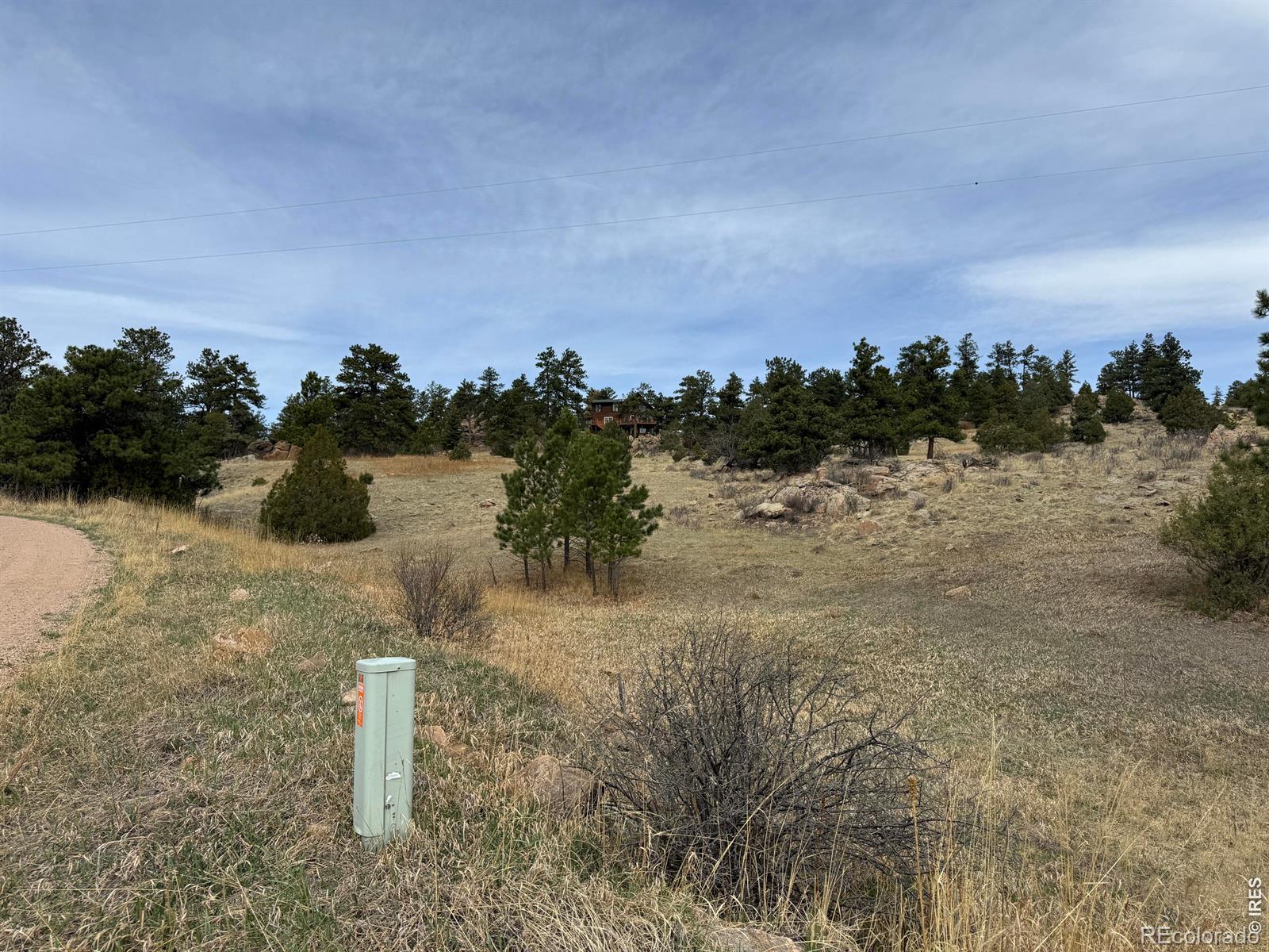 565 Le Conte Drive Livermore CO 80536