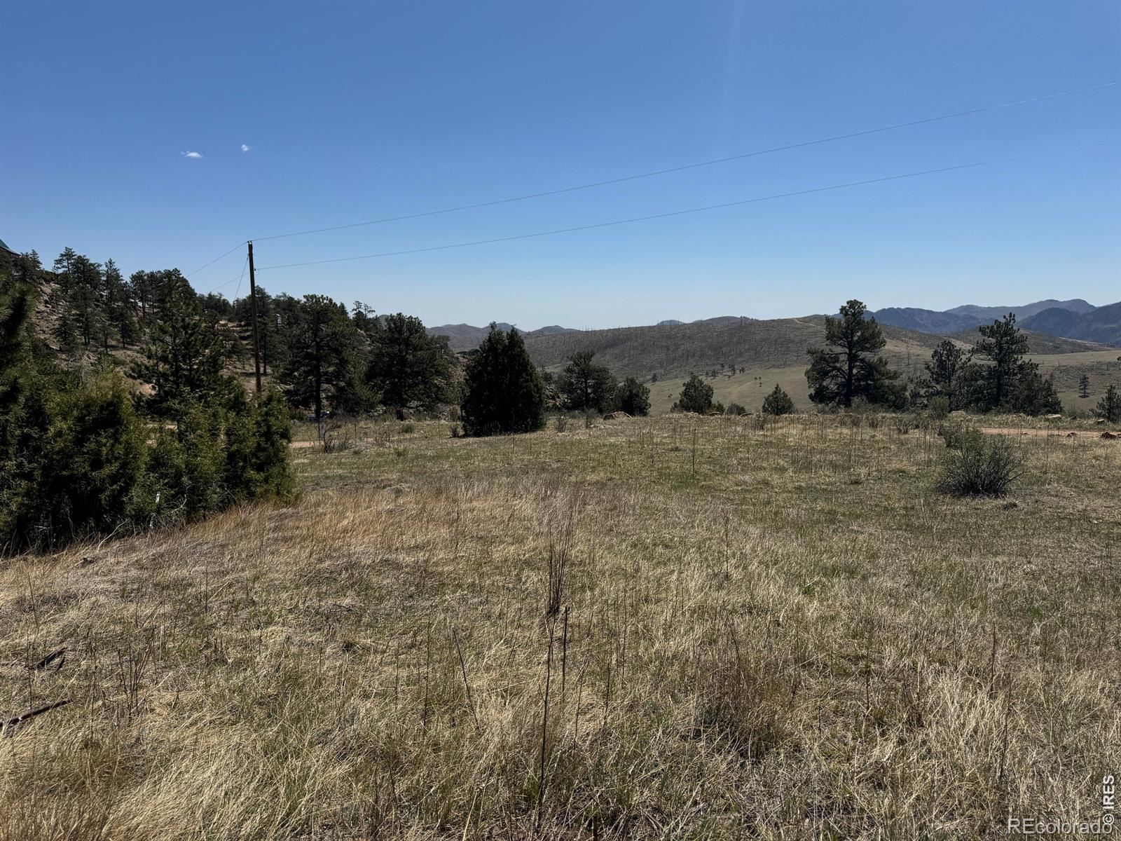 565 Le Conte Drive Livermore CO 80536