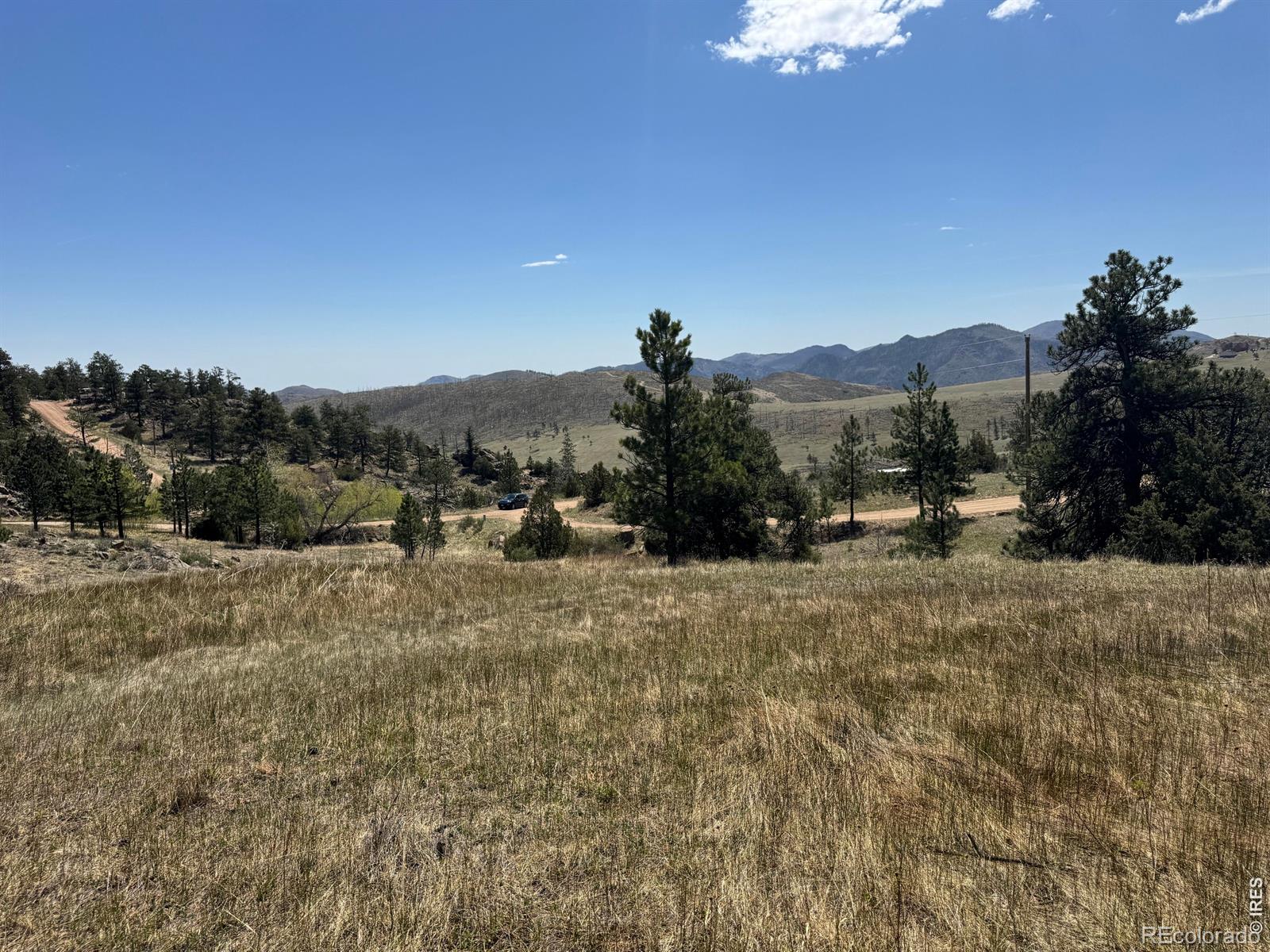 565 Le Conte Drive Livermore CO 80536