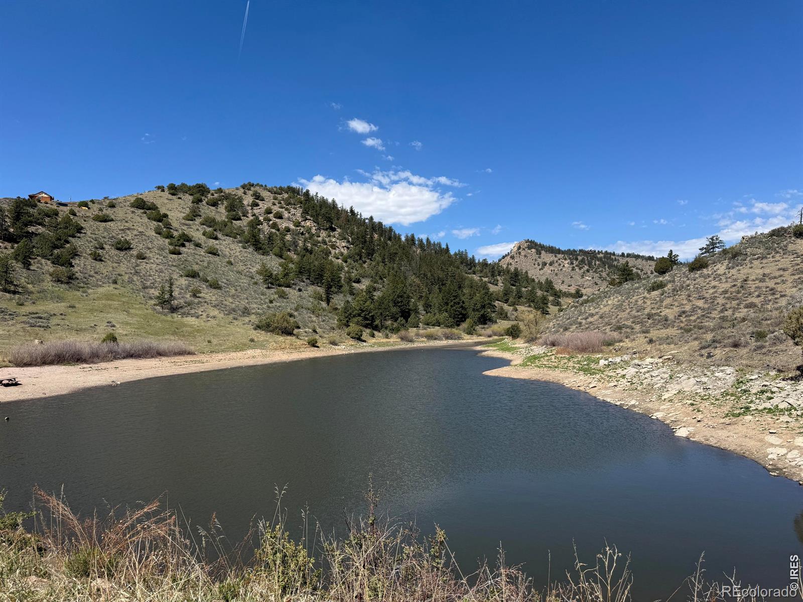 565 Le Conte Drive Livermore CO 80536