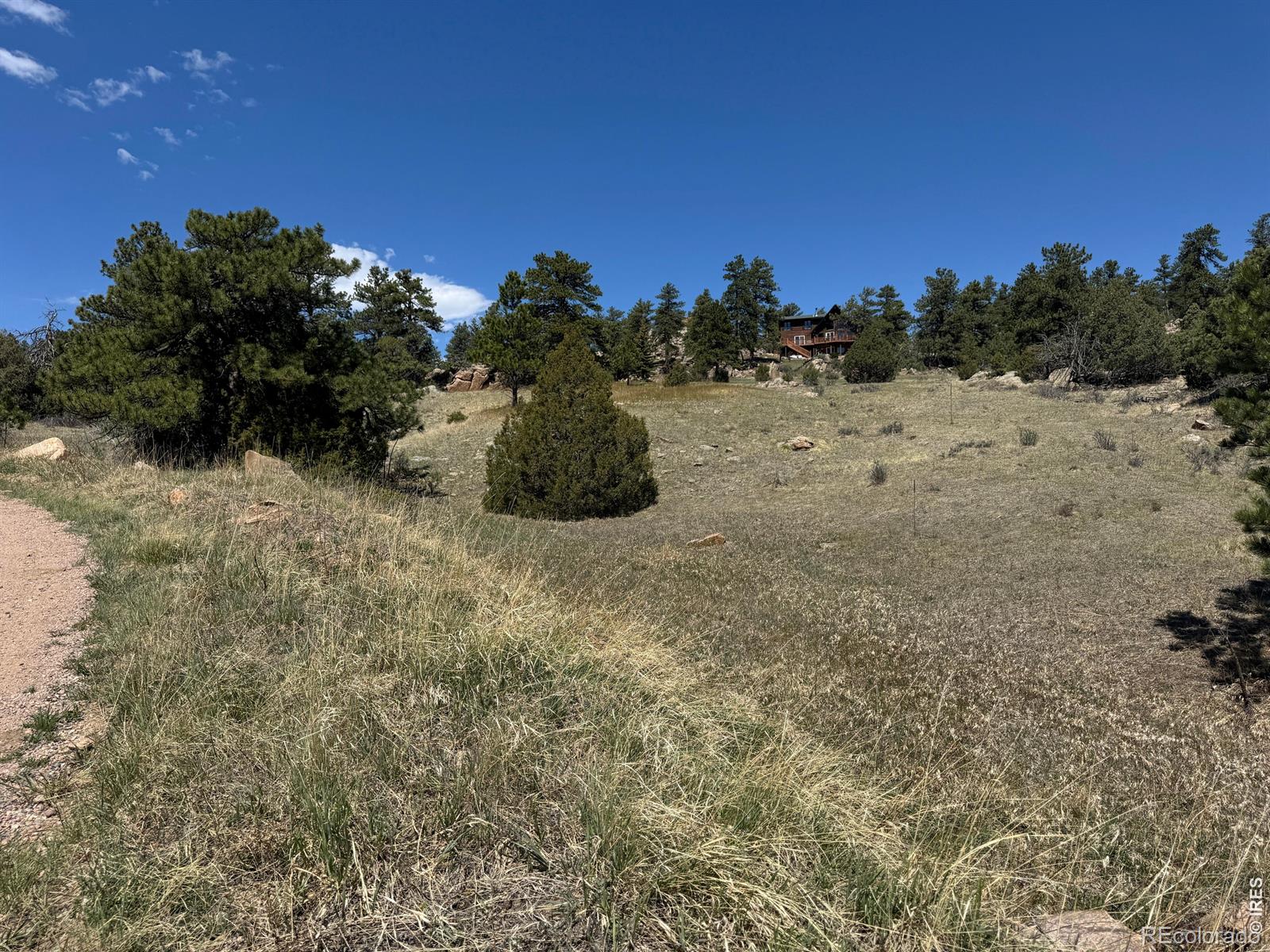 565 Le Conte Drive Livermore CO 80536