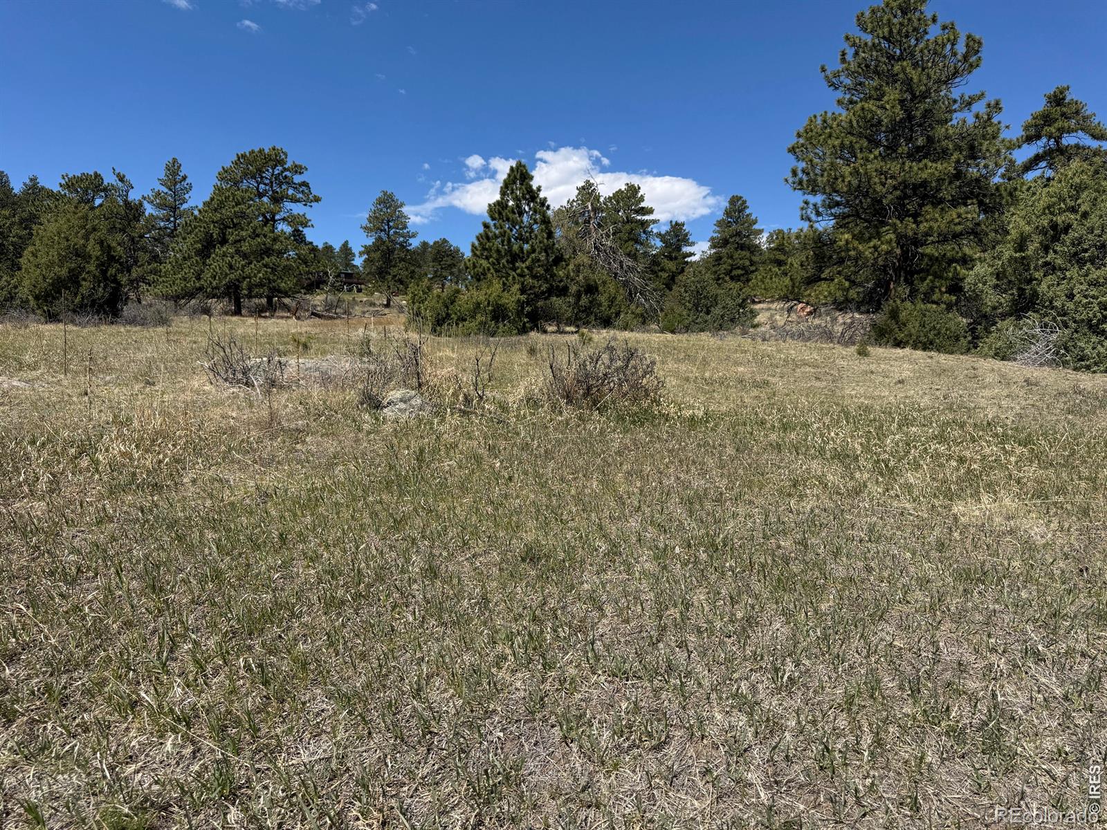 565 Le Conte Drive Livermore CO 80536