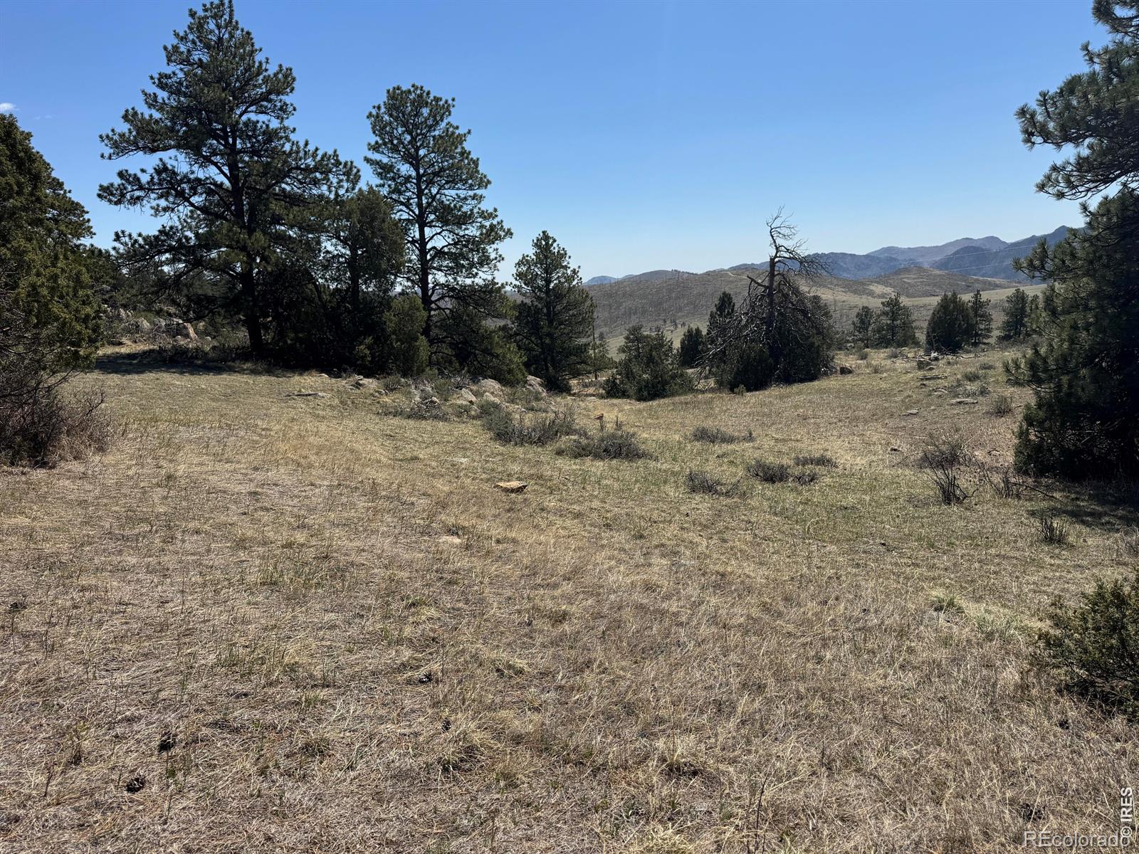 565 Le Conte Drive Livermore CO 80536