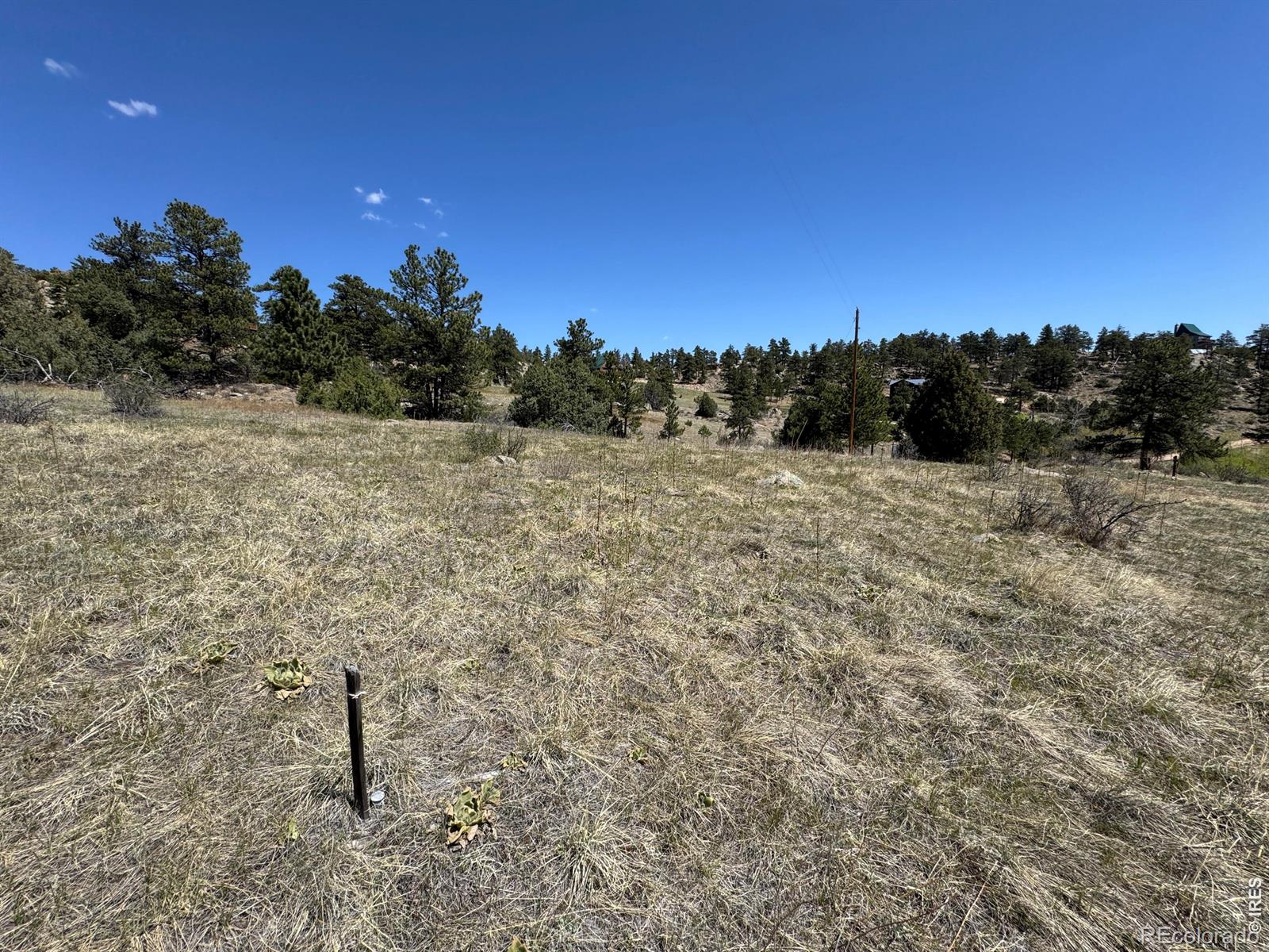565 Le Conte Drive Livermore CO 80536