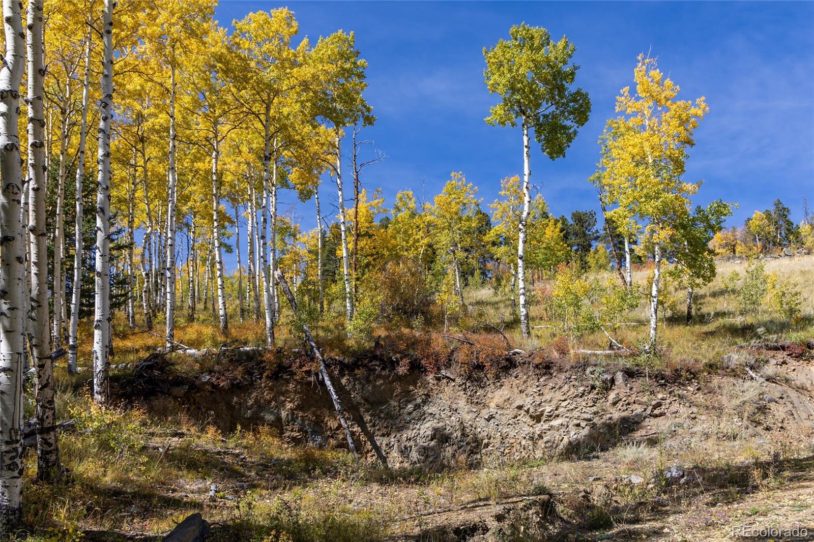 002 Seldom Seen Road Golden CO 80403