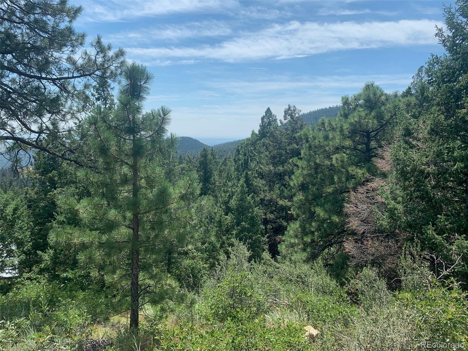 3435 Little Turkey Creek Road Colorado Springs CO 80926